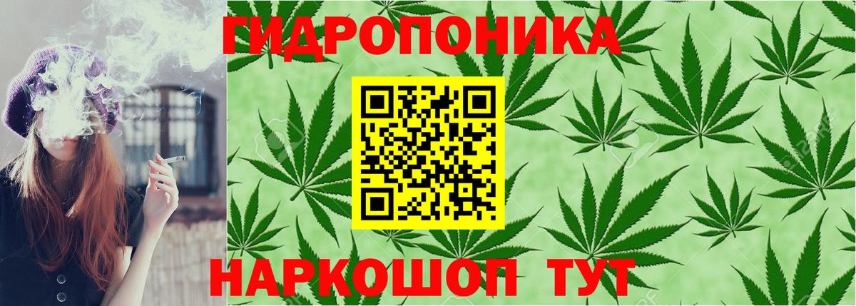 Новотроицк  Шишки марихуана индика  Бошки марихуана марихуана  Вход с VPN  Каннабис AK-47 